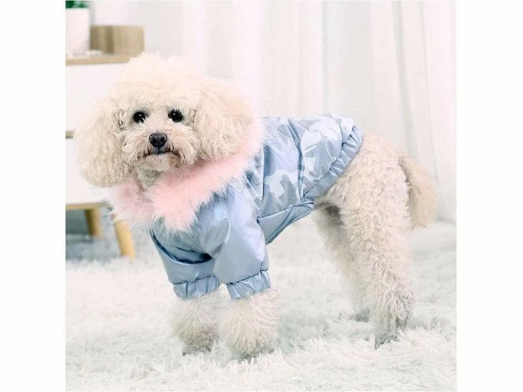 Dog M Chest 45cm Silver