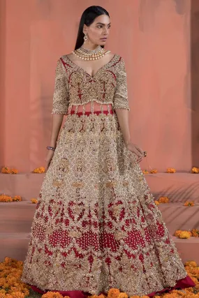 Embellished Red Indian Wedding Dress for Bride #BN1121