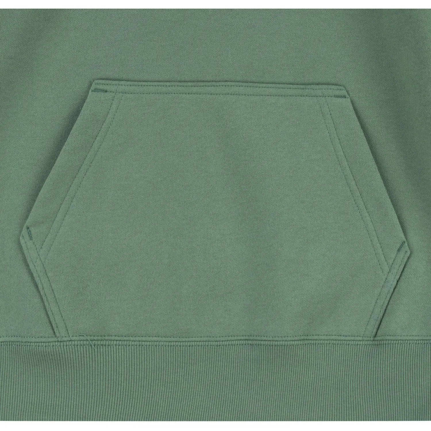 Levi's GREEN Lasso It Up Pullover Hoodie