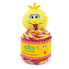 Sesame Street™ One Hat Wonder Yarn