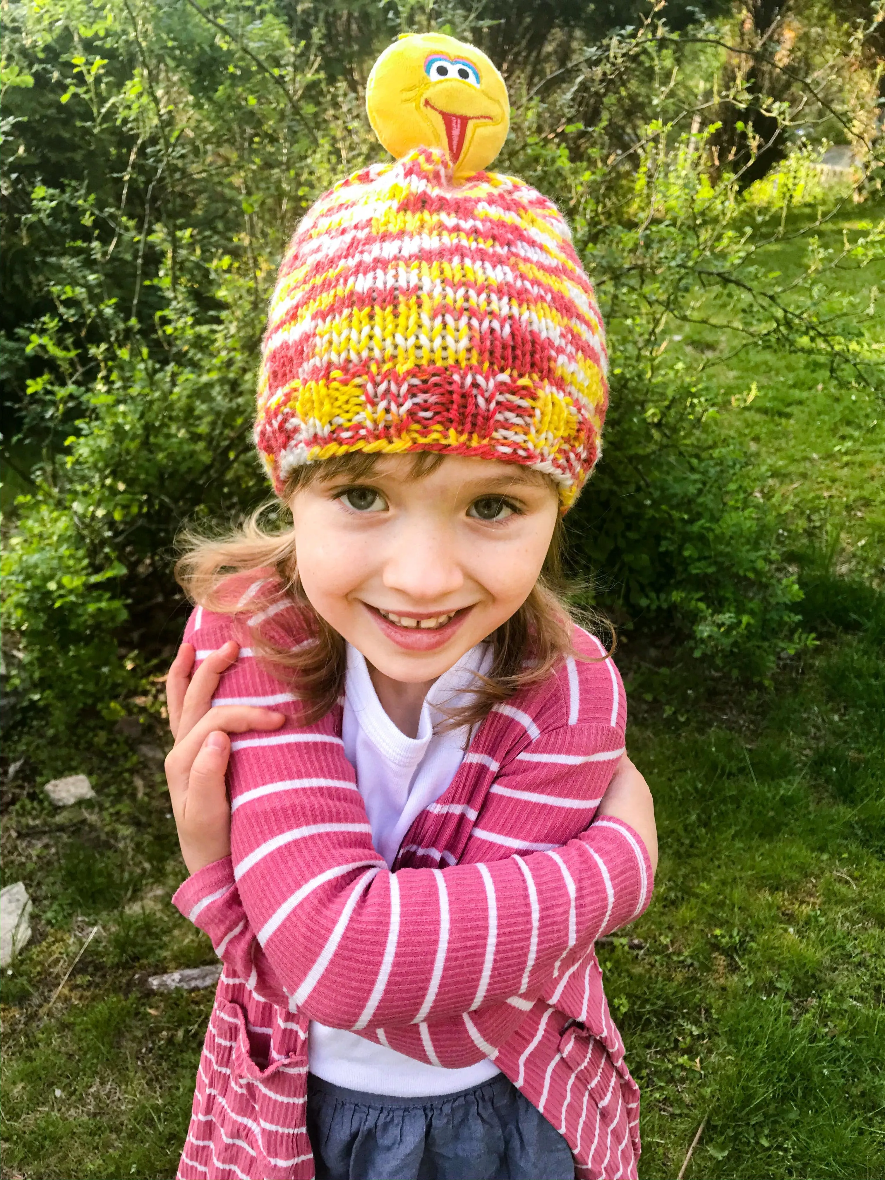 Sesame Street™ One Hat Wonder Yarn